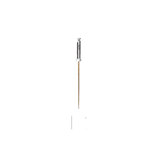کیت فایل Path Gold File