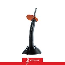 Woodpecker20