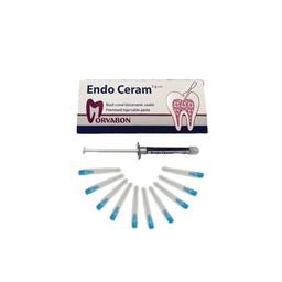 endo ceram