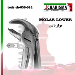 MOLAR-DOWN