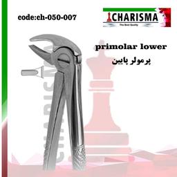 PRIMOLAR-DOWN