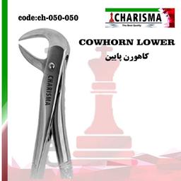 COWHORN-DOWN