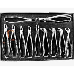 set-of-anatomic (1)