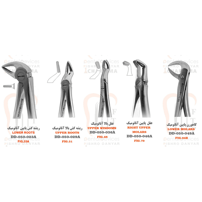 فورسپس آناتومیک بزرگسال