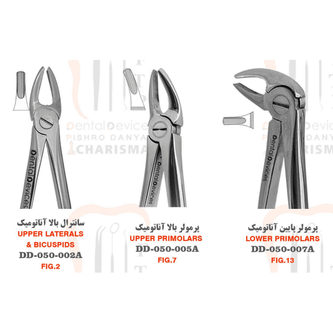 فورسپس آناتومیک بزرگسال