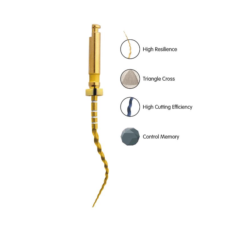 فایل روتاری Pliancy Gold Tapered NiTi