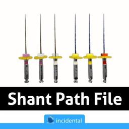 SHANT-2-400x400