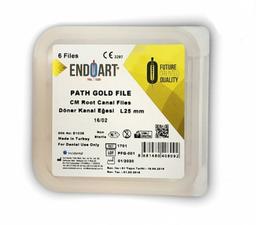 incidental-endoart-path-gold-file