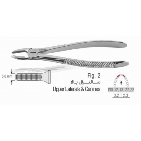 ست فورسپس بزرگسال 11 عددی