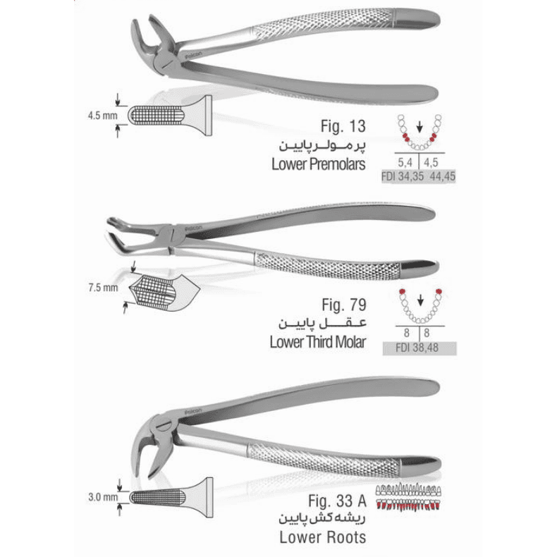 ست فورسپس بزرگسال 11 عددی