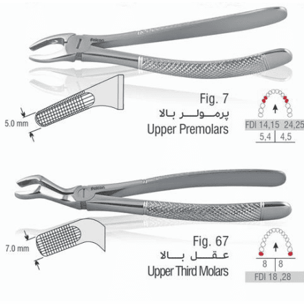 ست فورسپس بزرگسال 11 عددی