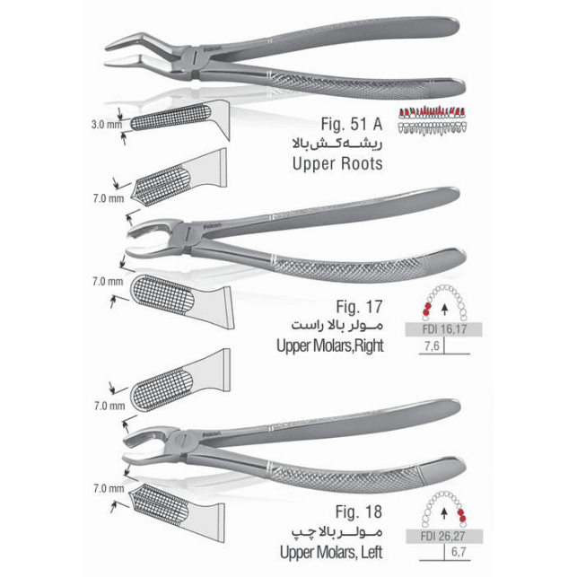 ست فورسپس بزرگسال 11 عددی