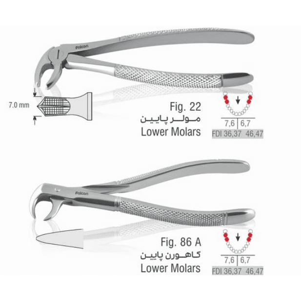 ست فورسپس بزرگسال 11 عددی