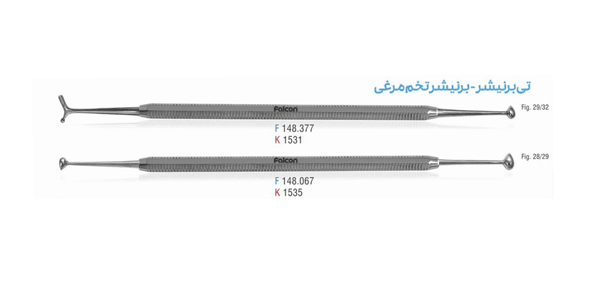 برنیشر تخم مرغی فالکن
