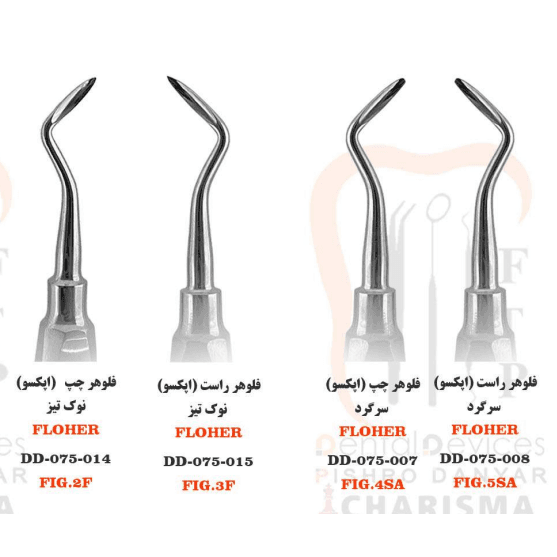 الواتور نوک ریشه فلوهر